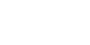 liongard logo